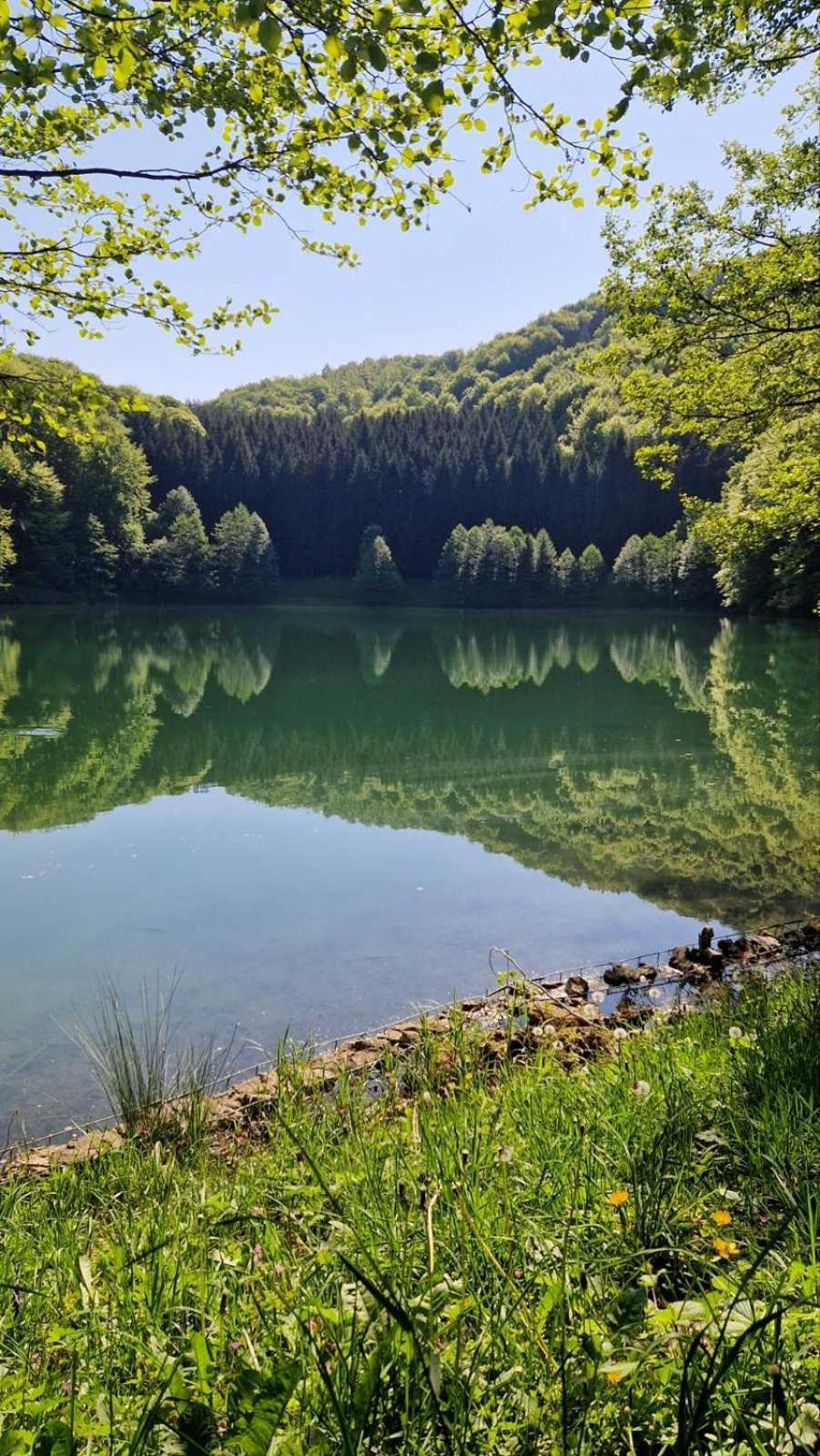 Apartmani Toki Balkana Mrkonjic Grad Zewnętrze zdjęcie